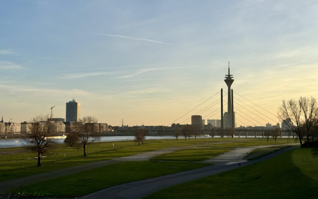 Rheinwiesen
